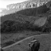 Despina Alamp's Photo