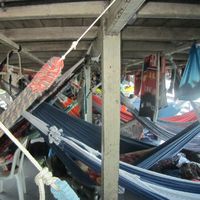 Jonathan Thibault's Photo