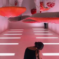 Lora Sergeeva的照片