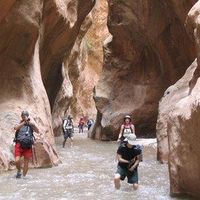 Mohamed Anaaseer的照片