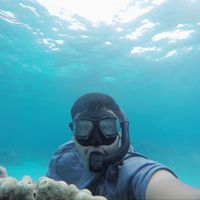 reza muhammad的照片