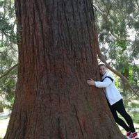 Regina Ádám的照片