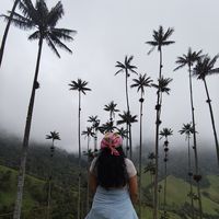 Esthela Gómez的照片