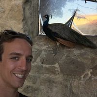 Connor Solomon's Photo