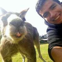 Zdjęcia użytkownika Florian Abanto