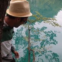 Luís Santos的照片