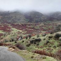 Photos de Mr.j Jahangard