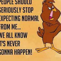 Varis Kumaris's Photo