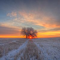 Natali Dutchyn's Photo