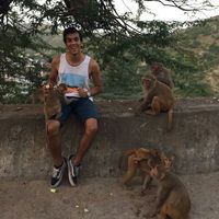 Amgad Elfeki的照片