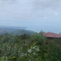 Hadeel Ibrahim's Photo