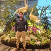 Miguel Cardoso's Photo