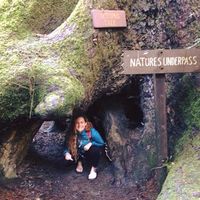 Stephanie Hamborsky's Photo