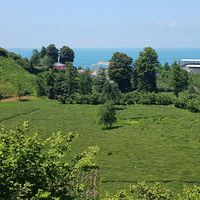 Ондер Барыш Кескиноглу's Photo