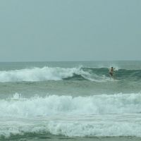 Douglas Hiura Longo的照片