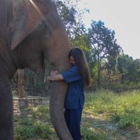 Julia Baranova的照片