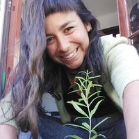 Fotos von J. Luciana Perdomo