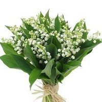 Anna Caldera的照片