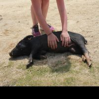 Thais Van de moortele's Photo