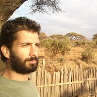 Yiorgos Sobonis的照片