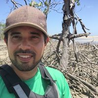 Fotos de Nataniel Sobrinho