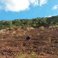 Fita Martí的照片