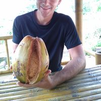 Fotos de Leon Anschütz