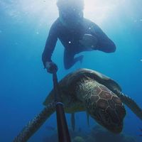 Haroun Chilah的照片