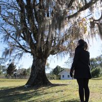 Natasha Ando的照片