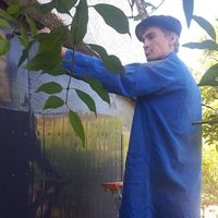 Fotos von Louis Couton