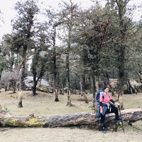 Photos de Vishakha Agarwal