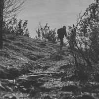 Damian Kubicki的照片