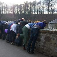 Photos de Trash Palace