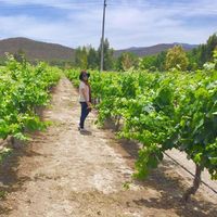 Fotos von Wendy Lopez