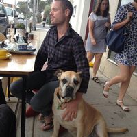 Das Patterson的照片