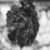 Le foto di Maylis Primi-Back