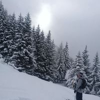 Tanya Bruchez的照片