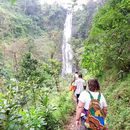 Day Trip To Materuni Waterfall And Coffee Tour's picture