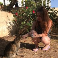 Donna Milne的照片