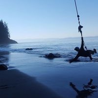 ALex Go-kart的照片