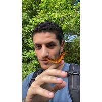 Yuval Toledano's Photo