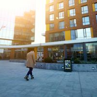 Alex Matton的照片