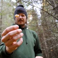 Dale Thiessen's Photo