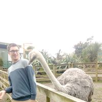 Matt Lambert的照片