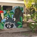 Foto de Biodiversity Mural 🎨 (Volunteers Needed!)