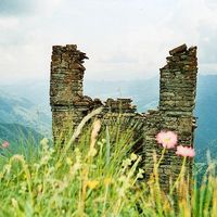 Lina Mosashvili's Photo