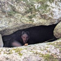 Forrest Lisle's Photo