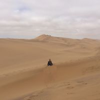 Selda Bozdemir's Photo