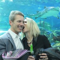 erik buckland的照片