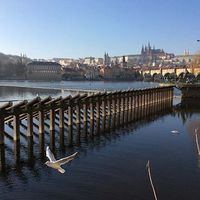 Lianlian xing's Photo